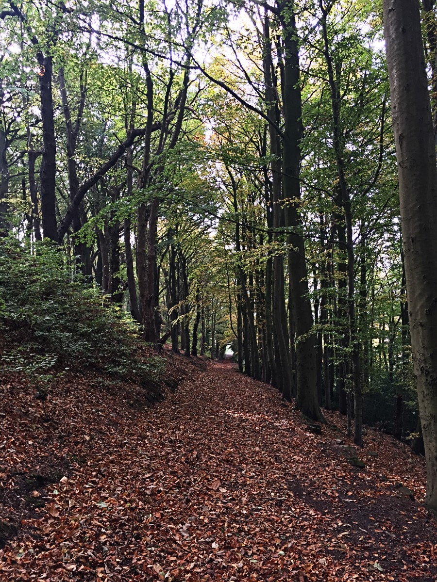 Images for Crich Lane, Belper EAID: BID:aands