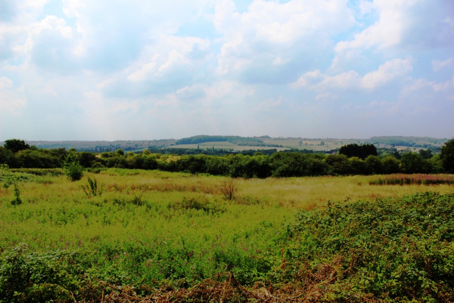 Images for Wyvern Close, Newthorpe EAID: BID:aands